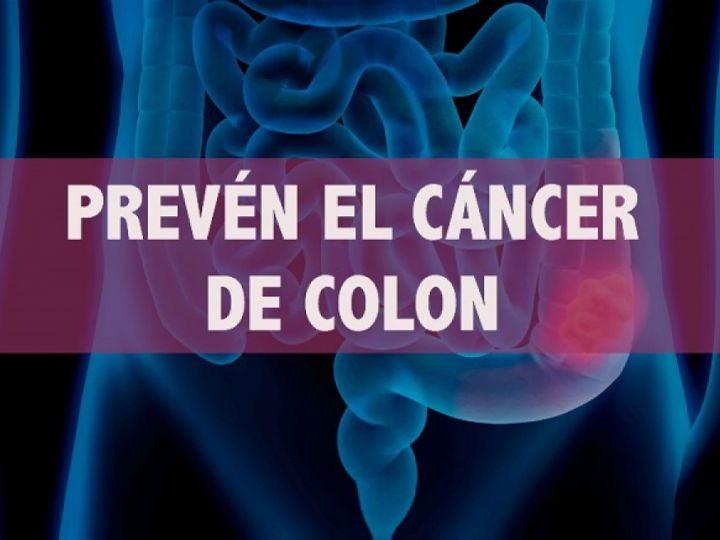 Imágen de noticia Imagen de noticia