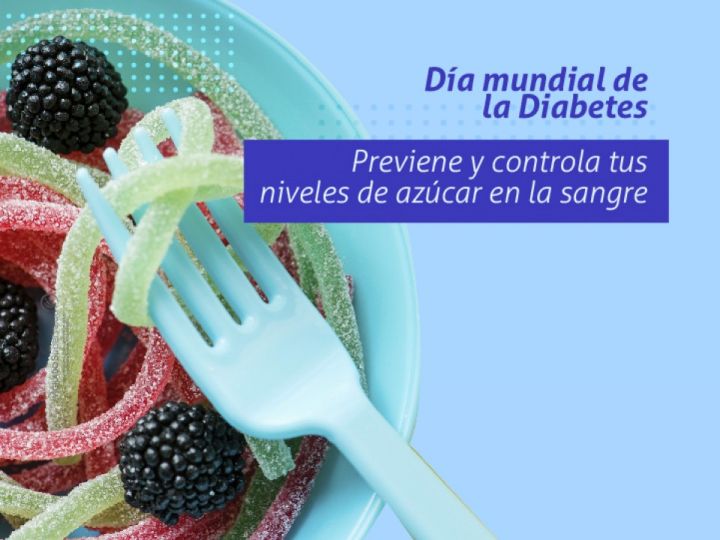 Imágen de noticia Imagen de noticia