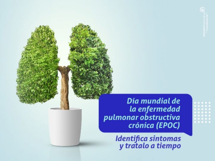 Imágen de noticia Imagen de noticia