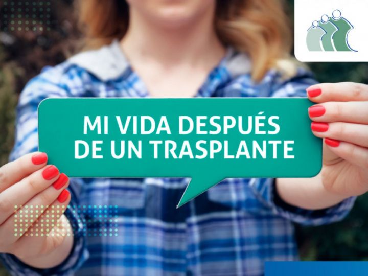 Imágen de noticia Imagen de noticia