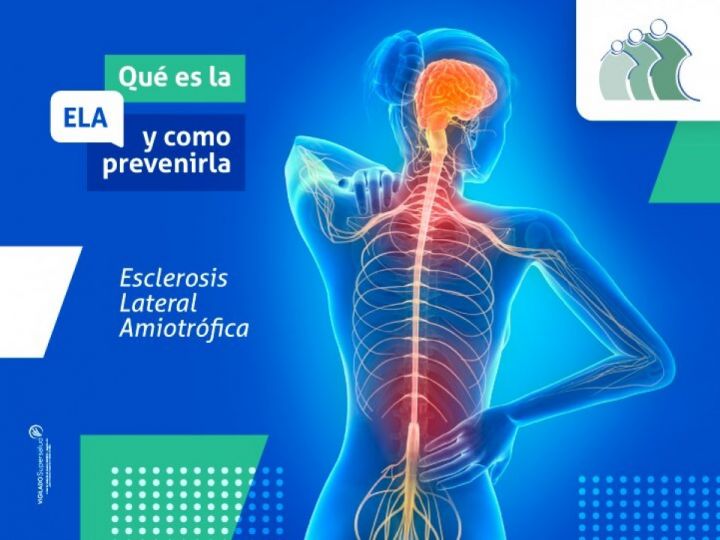 Imágen de noticia Imagen de noticia