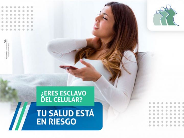 Imágen de noticia Imagen de noticia