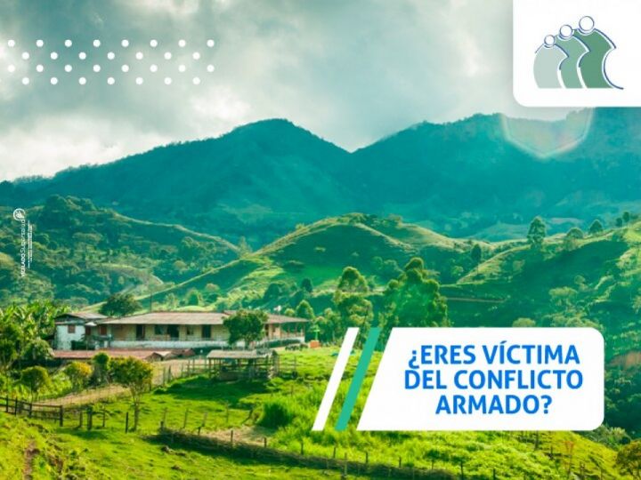 Imágen de noticia Imagen de noticia