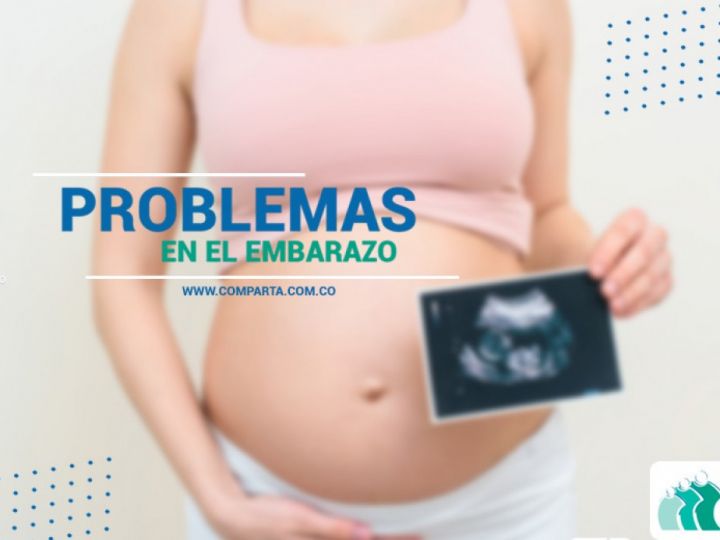 Imágen de noticia Imagen de noticia
