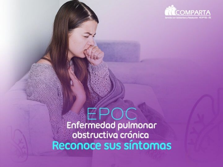 Imágen de noticia Imagen de noticia