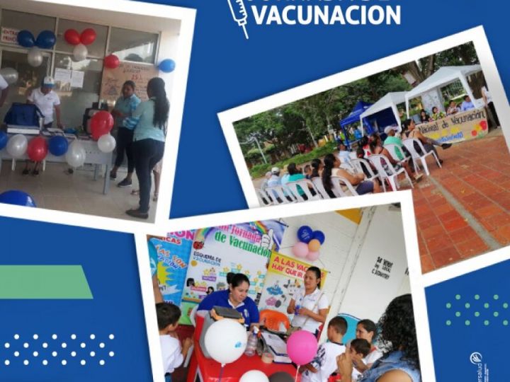 Imágen de noticia Imagen de noticia