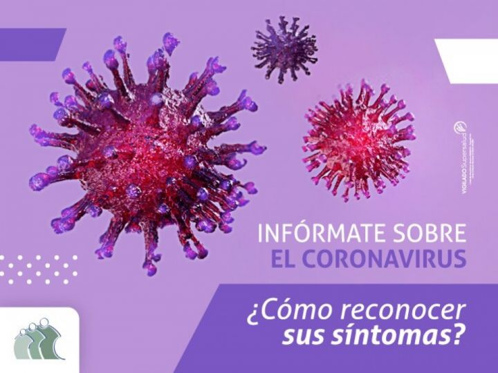 Imágen de noticia Imagen de noticia