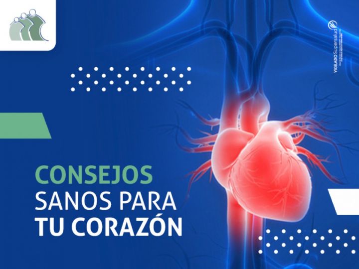 Imágen de noticia Imagen de noticia