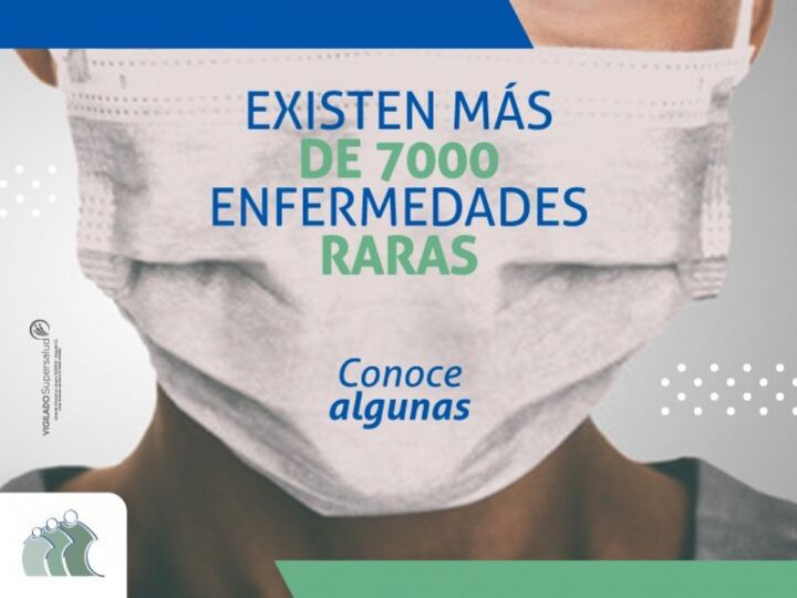 Imágen de noticia Imagen de noticia