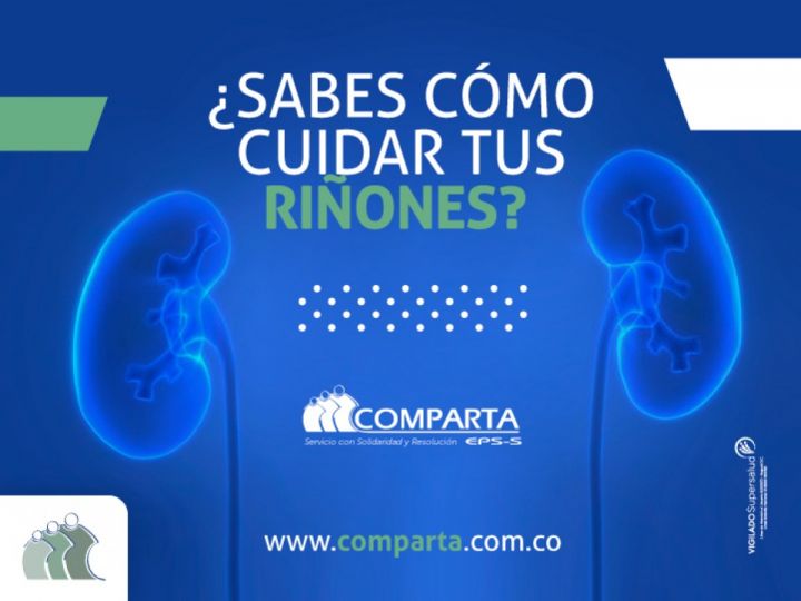 Imágen de noticia Imagen de noticia