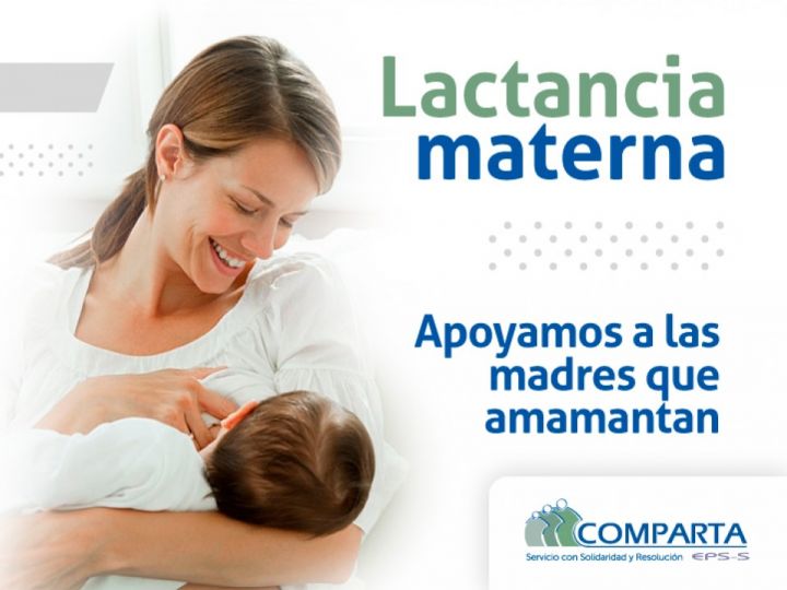 Imágen de noticia Imagen de noticia