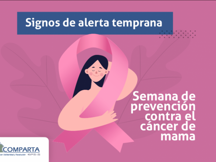Imágen de noticia Imagen de noticia