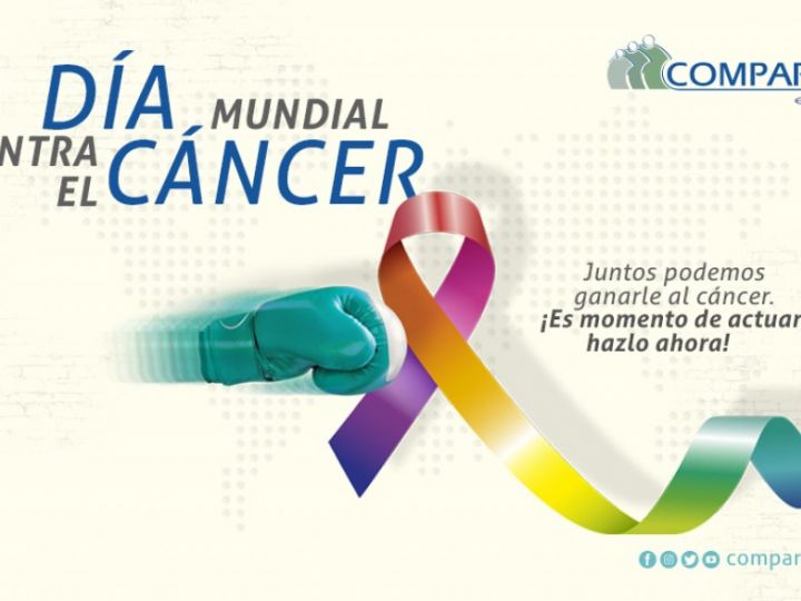 Imágen de noticia Imagen de noticia