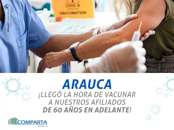 Imágen de noticia Imagen de noticia
