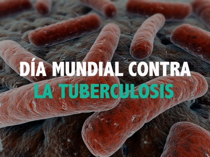 Imágen de noticia Imagen de noticia