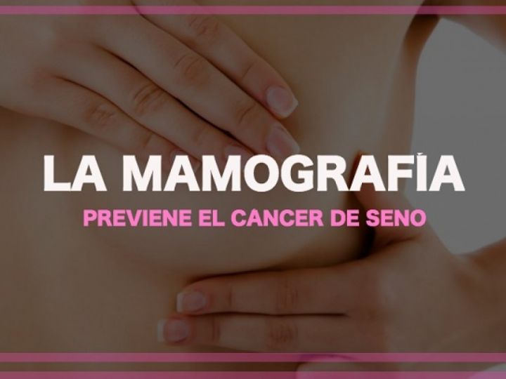 Imágen de noticia Imagen de noticia
