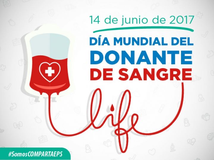 Imágen de noticia Imagen de noticia