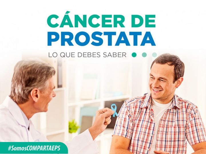 Imágen de noticia Imagen de noticia