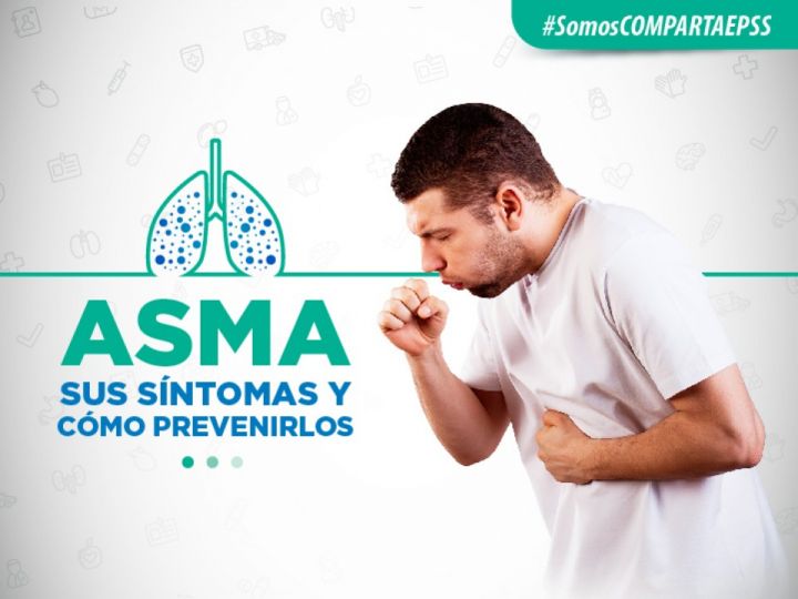 Imágen de noticia Imagen de noticia