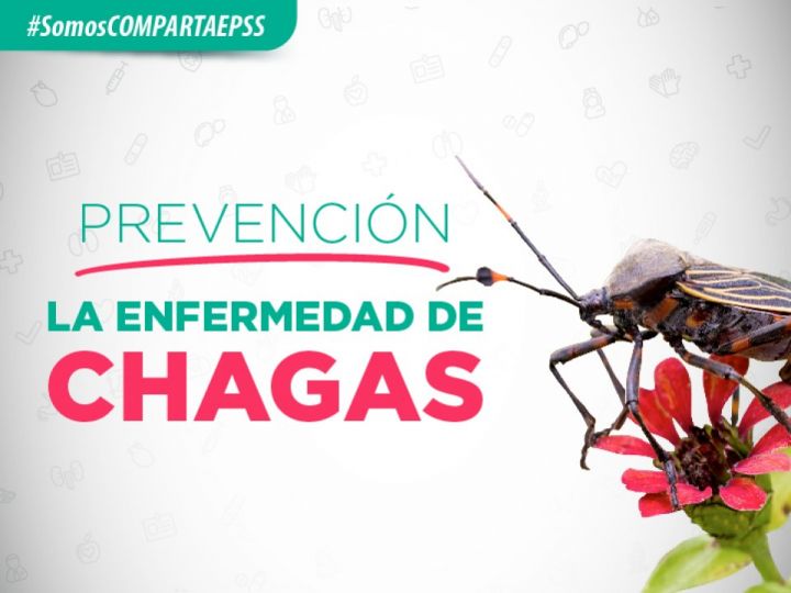Imágen de noticia Imagen de noticia