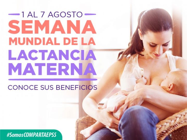 Imágen de noticia Imagen de noticia