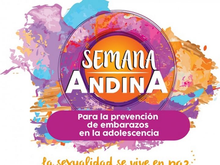 Imágen de noticia Imagen de noticia