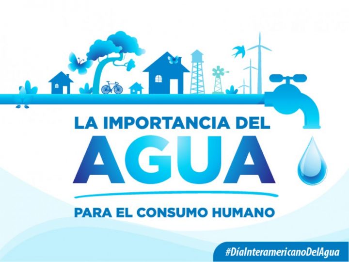 Imágen de noticia Imagen de noticia
