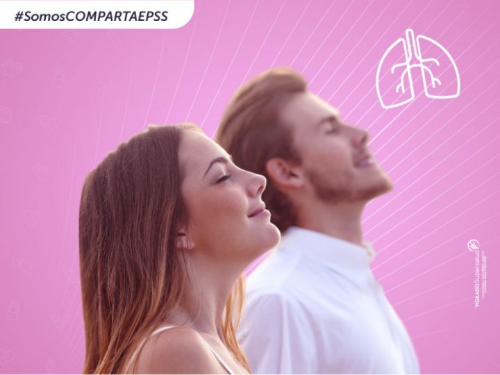 Imágen de noticia Imagen de noticia