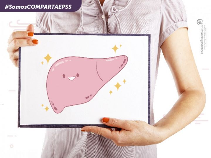 Imágen de noticia Imagen de noticia